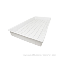 Large plastic vacuum forming seeding trays for greenhouse